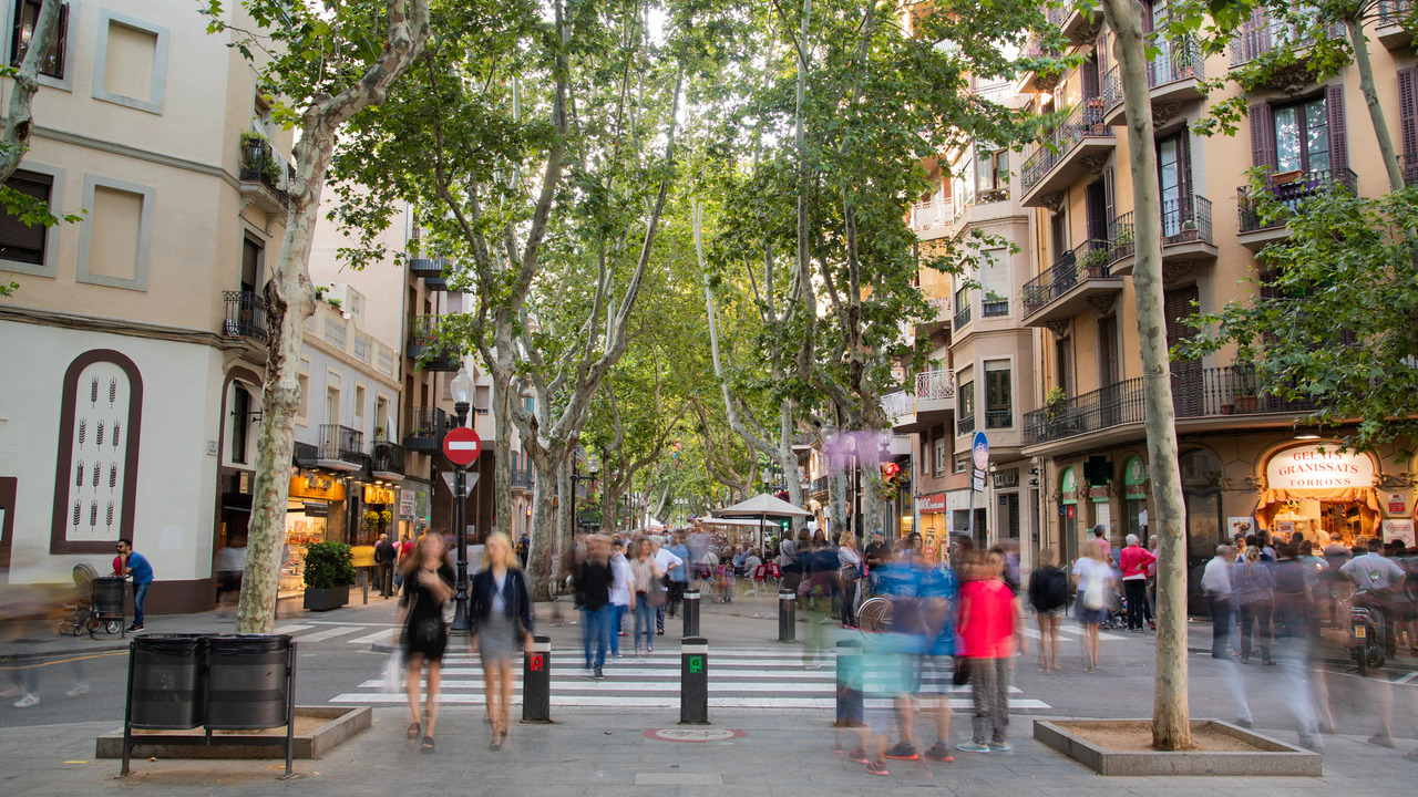 3621717581838_.pic_hd