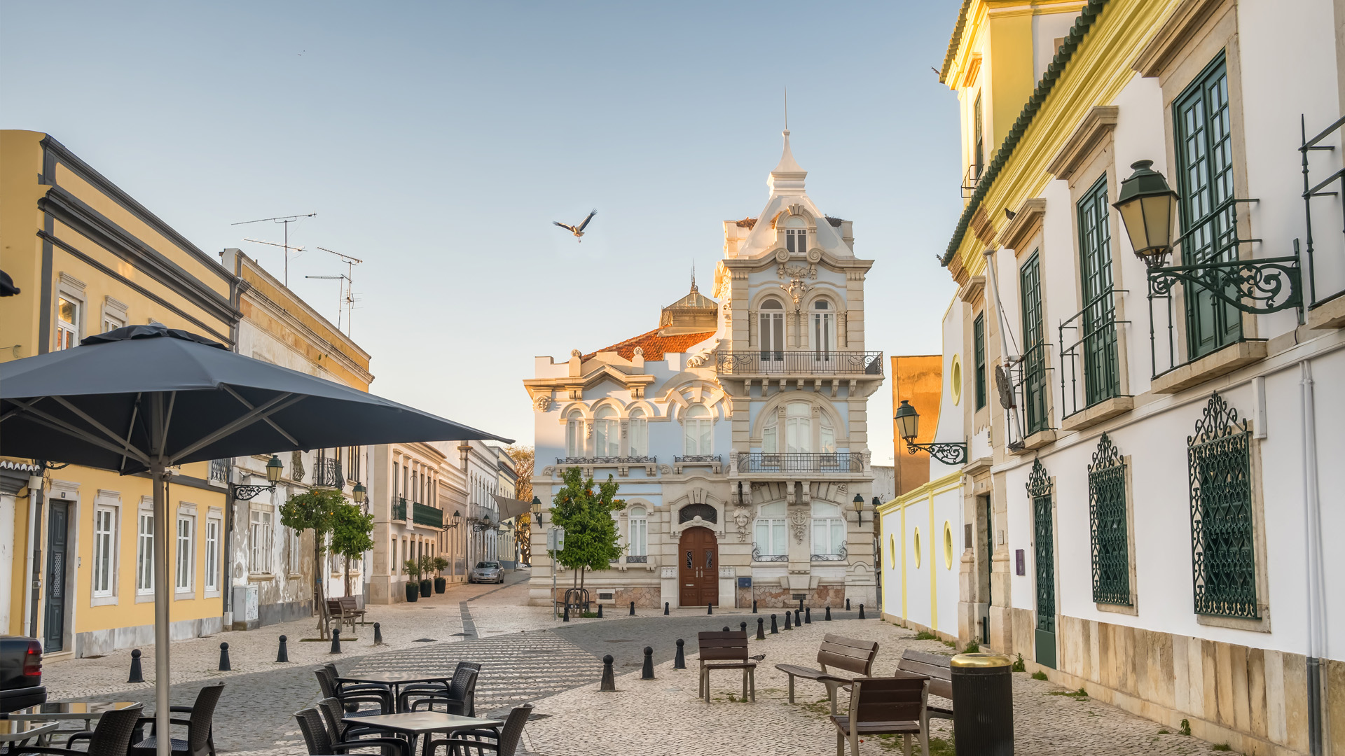 Faro 法鲁202508131837