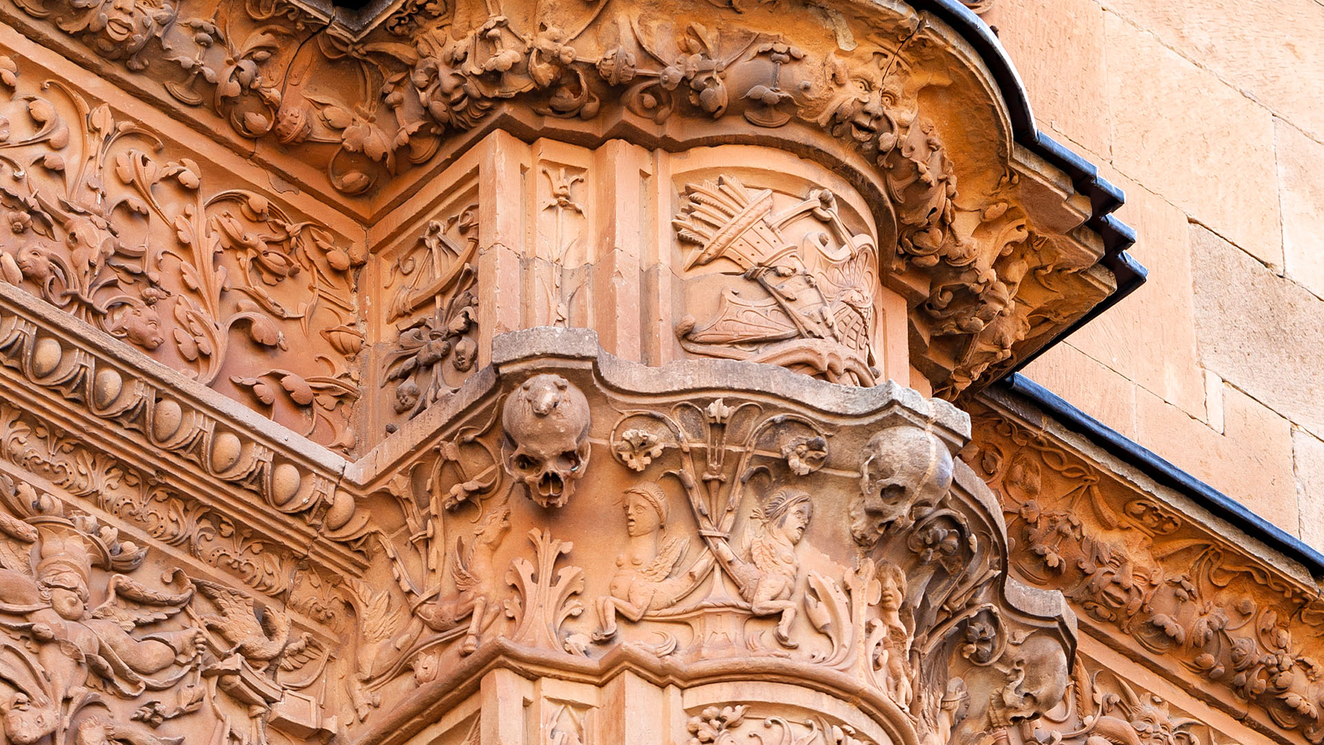 萨拉曼卡的青蛙202517040818