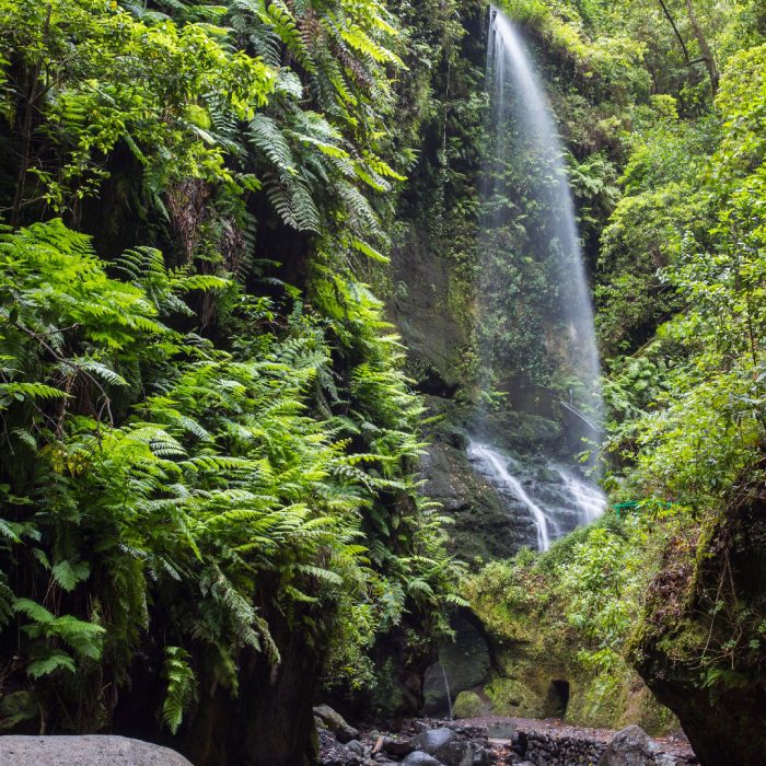 los tilos la palma 瀑布123