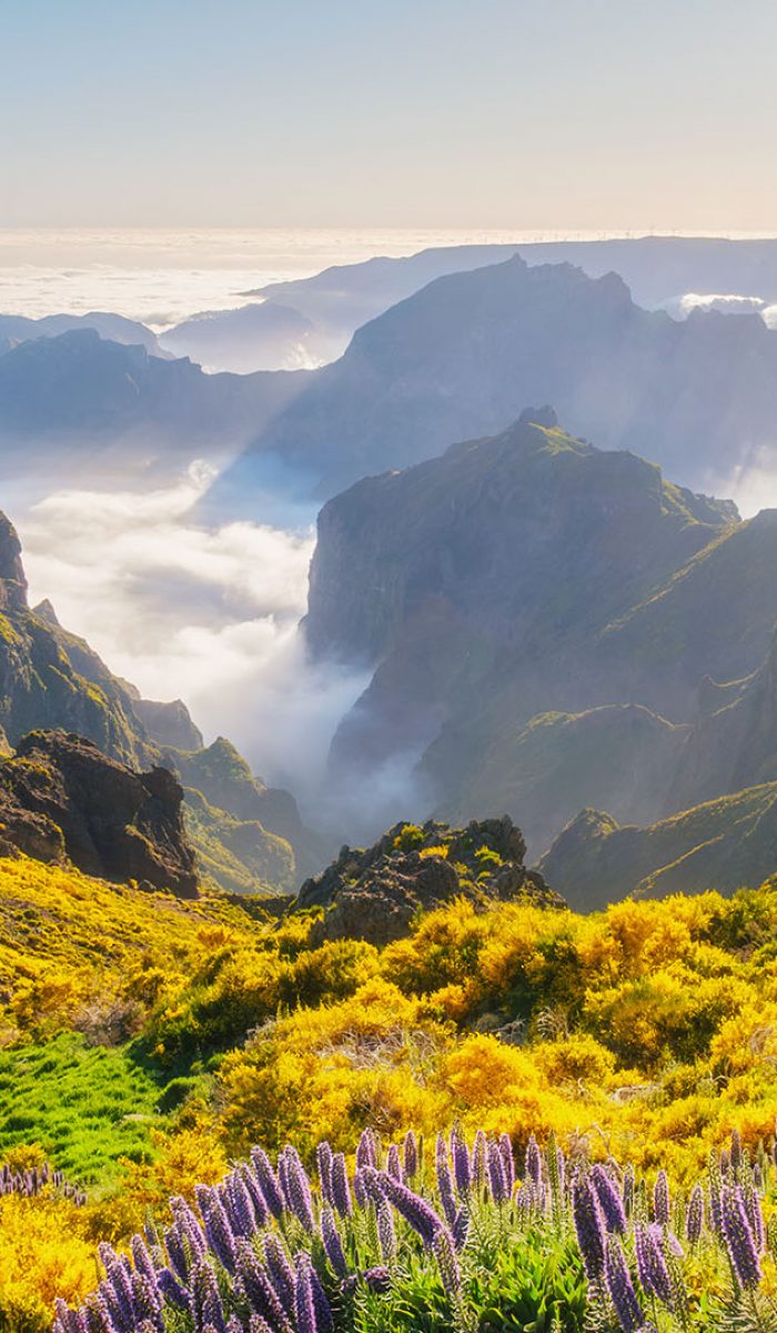 马德拉MADEIRA 20250524